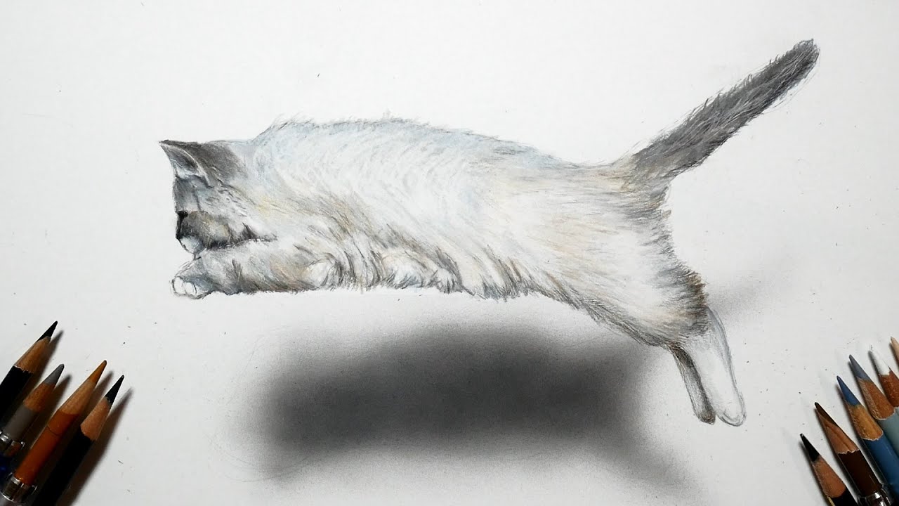 色鉛筆でネコを描いてみた リアルな絵 Realistically draw a jumping
