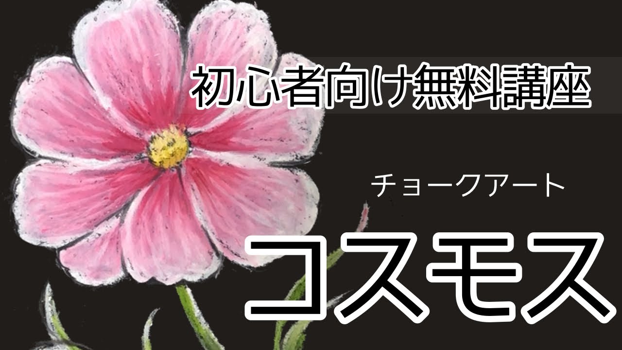 無料チョークアート講座 コスモス - YouTube