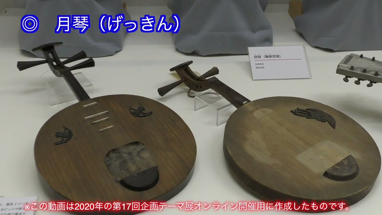 二弦琴 爪 牙 和楽器 大正琴 【公式通販】