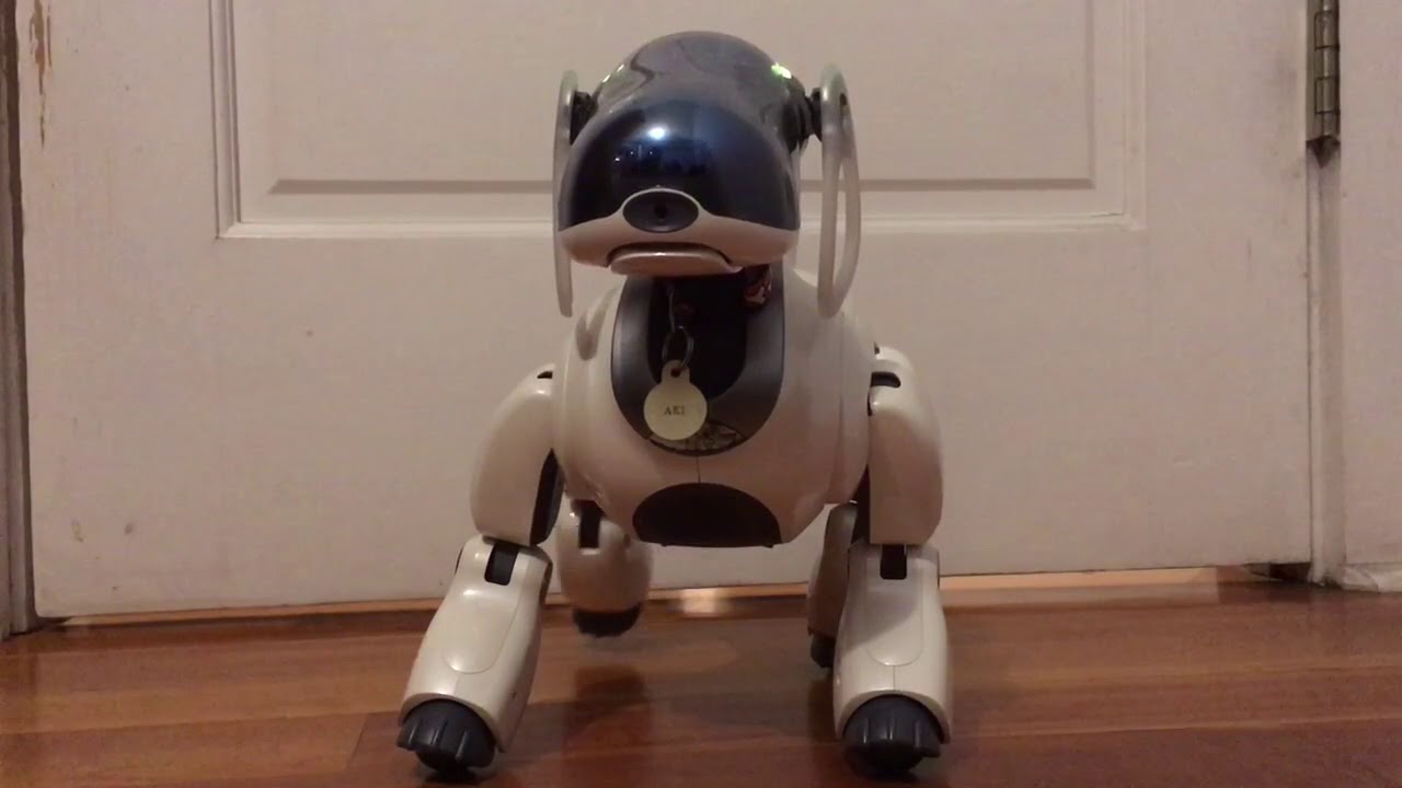 Aibo ERS-7 Prototype Mind 1 Software - YouTube