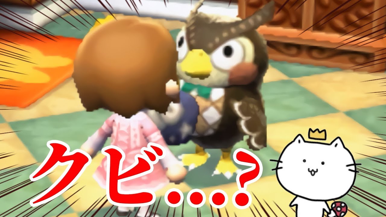 Fire Fuuta with the village chief's authority?! Animal Crossing
