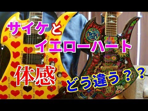 🌹 【解説】hideモデル ギター サイケとイエローハートの違い MG-145S