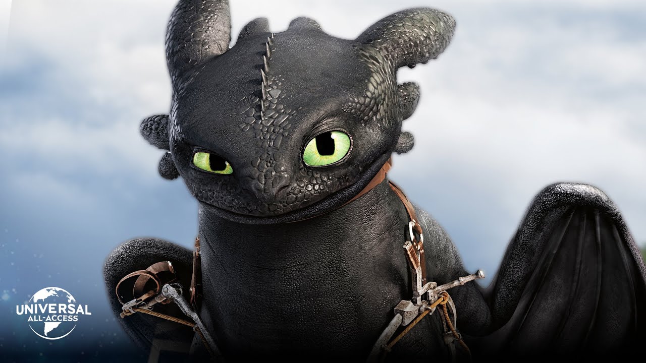 How To Train Your Dragon 2 | Hiccup Faces Danger | Extended