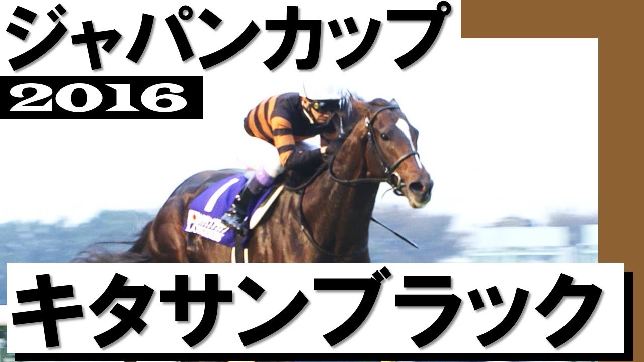 見事な逃げきり！キタサンブラック」【ジャパンカップ2016】 - YouTube