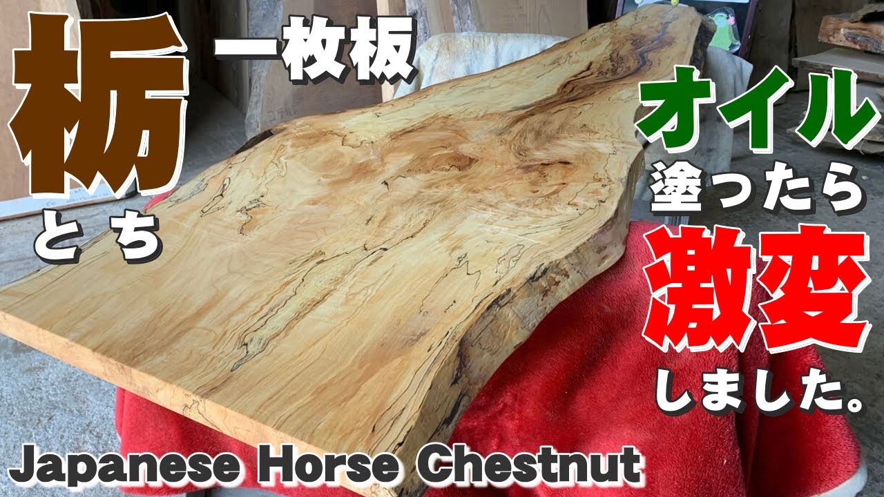 オイルで激変】岩手県産トチ一枚板×オイル仕上げ【木の店さんもく】How