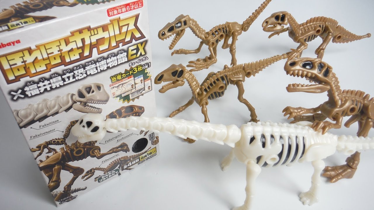 Honehone saurus Fukui Prefectural Dinosaur Museum EX 