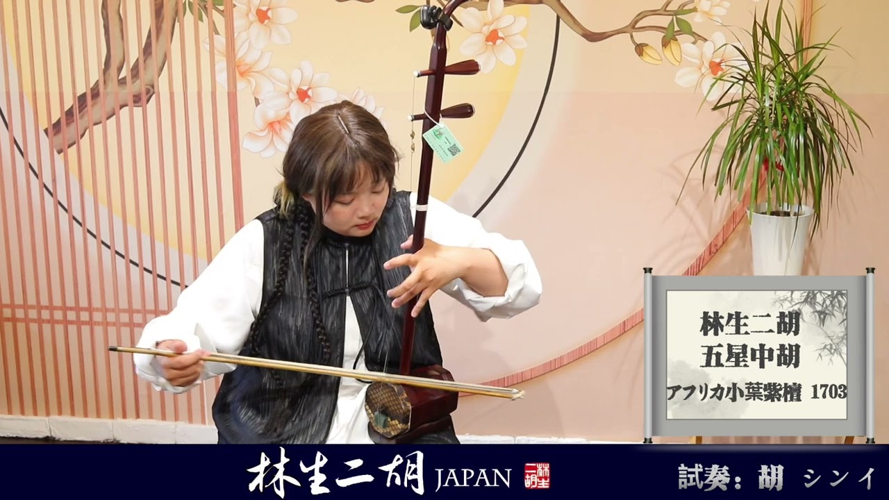 ◇店頭在庫◇【五星中胡 アフリカ小葉紫檀 No.1703】林生二胡 陸林生
