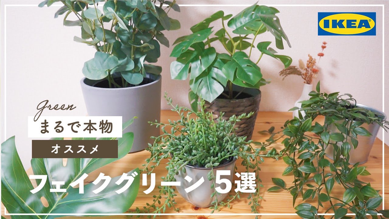 IKEAフェイクグリーン【FEJKA】リアルなオススメ品をサイズ毎に紹介