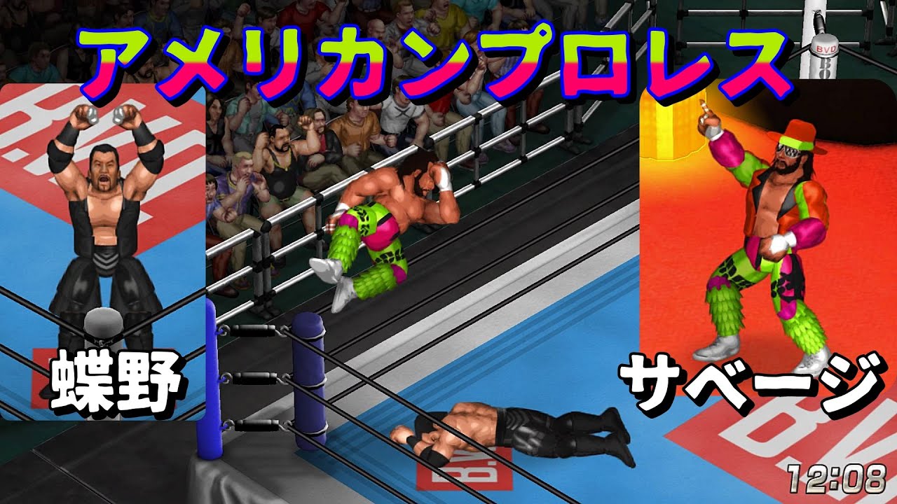 ファイプロW】アントニオ猪木 VS ヒクソン・グレイシー FPW Antonio