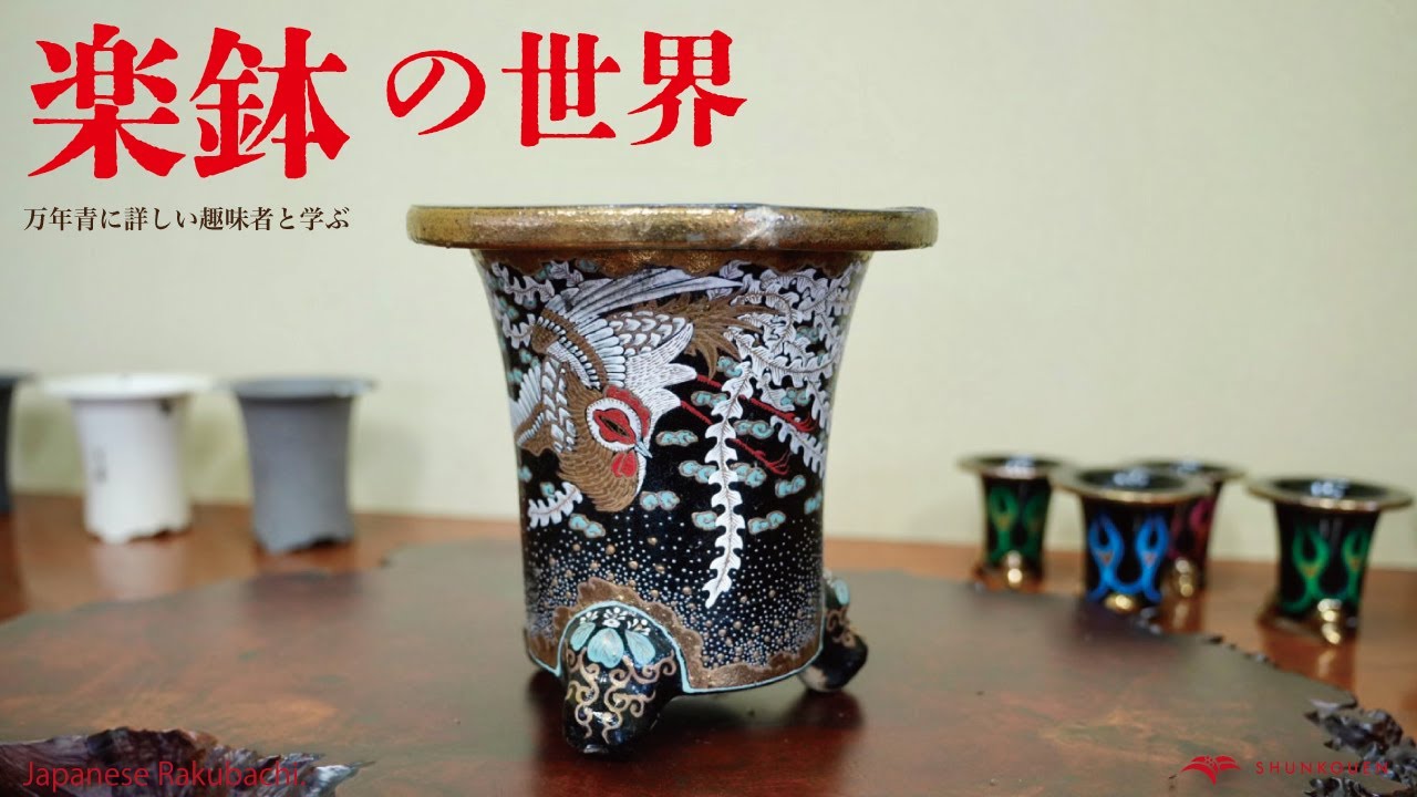 Rakubachi