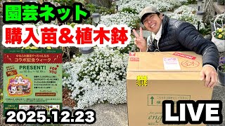 ◇【園芸ネット】購入苗&植木鉢！開封LIVE🌱 - YouTube