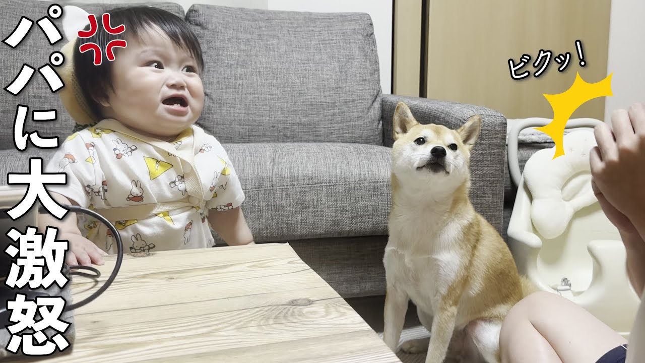 A 1-year-old boy gets angry and yells when you try to hold him