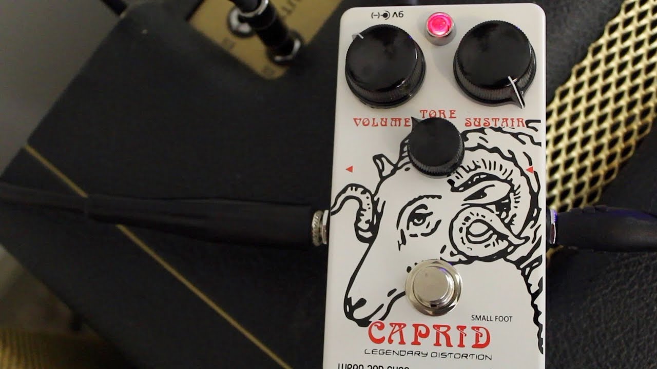 Wren and Cuff Small Foot Caprid - YouTube