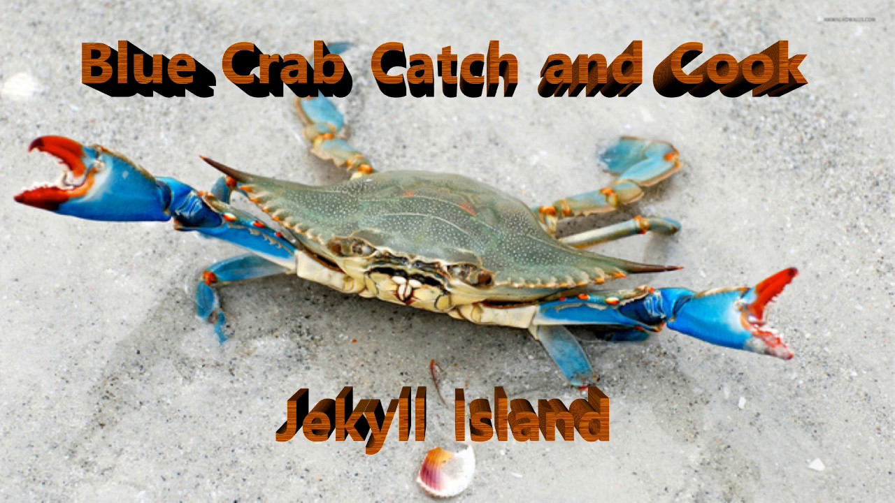 Blue Crab Catch and Cook on Jekyll Island - YouTube