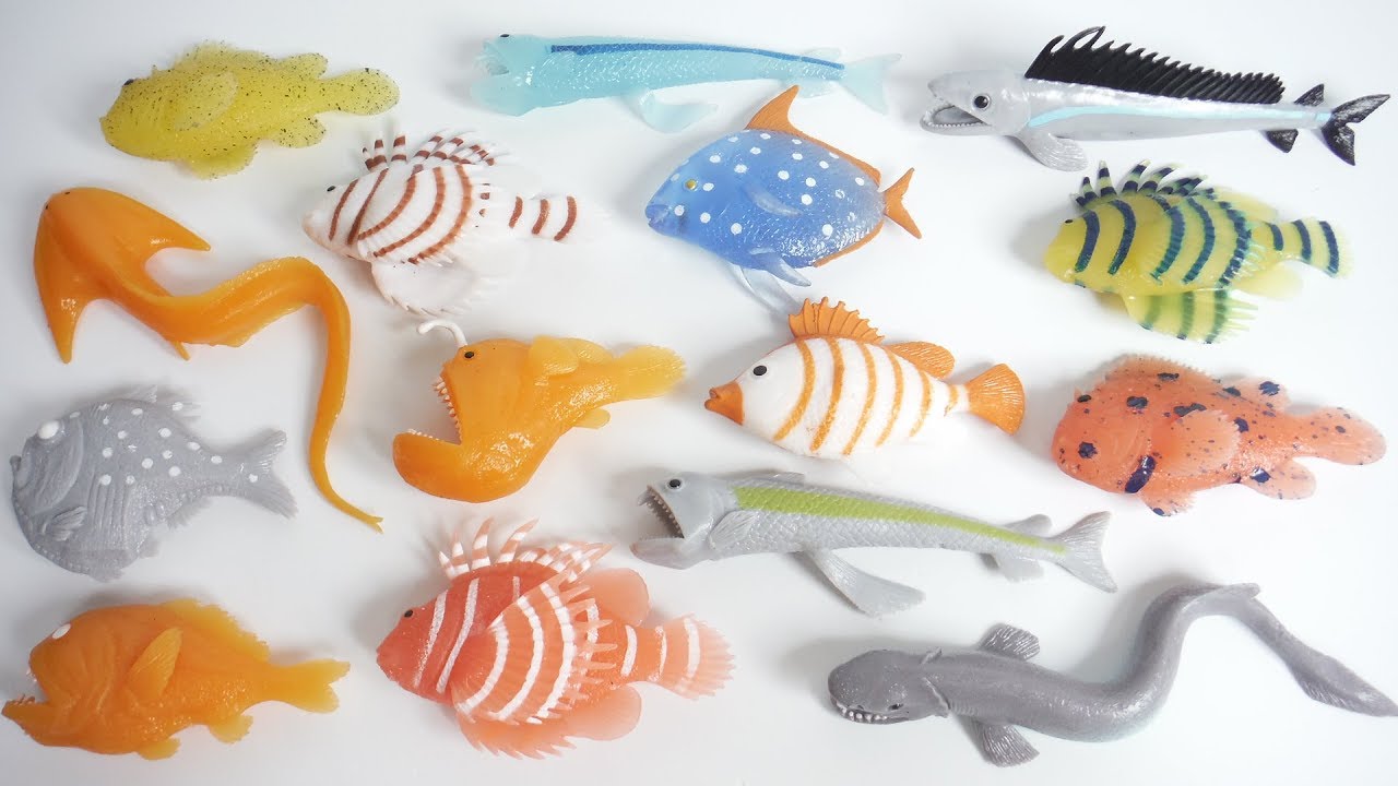 SEA MONSTERS & Co. 