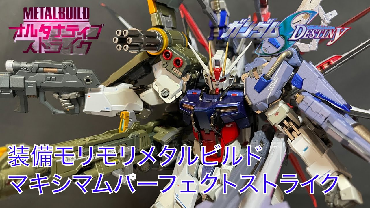 METALBUILD/メタルビルド】オオトリ装備モリモリマキシマム