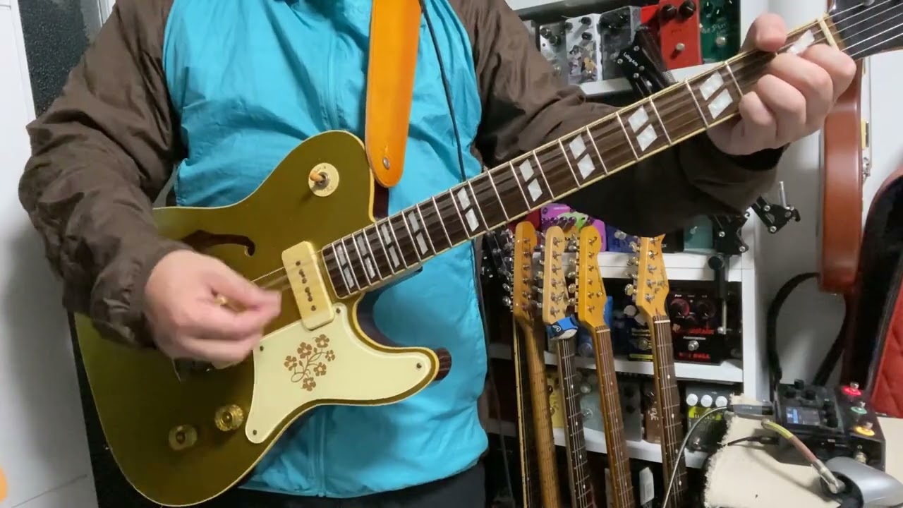 Bruno Guitars