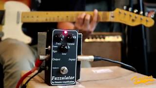 Fuzzulator by Demeter Amplification - YouTube