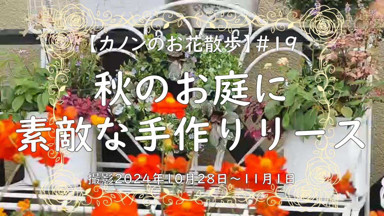 19 秋になり、伸びた寄せ植えのお花とそろそろ終わりのアスターを