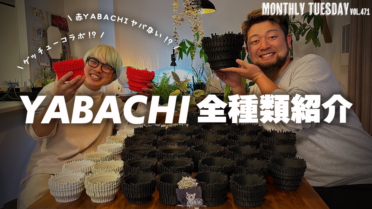 アカベ】春が来た！植え替えだ！格好良すぎる3Dプリンター鉢「YABACHI