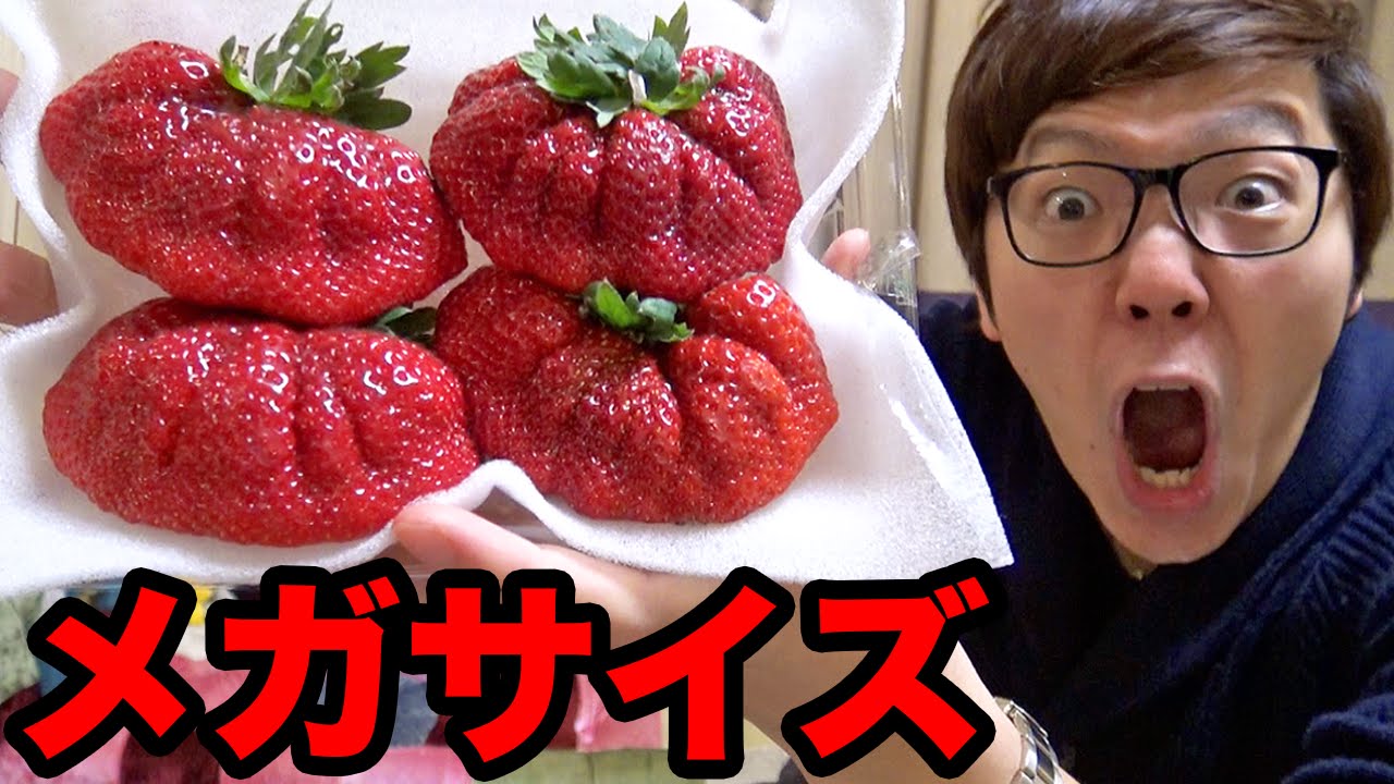 I tried the super-sized strawberry! Mega-sized Hakata Amaou - YouTube