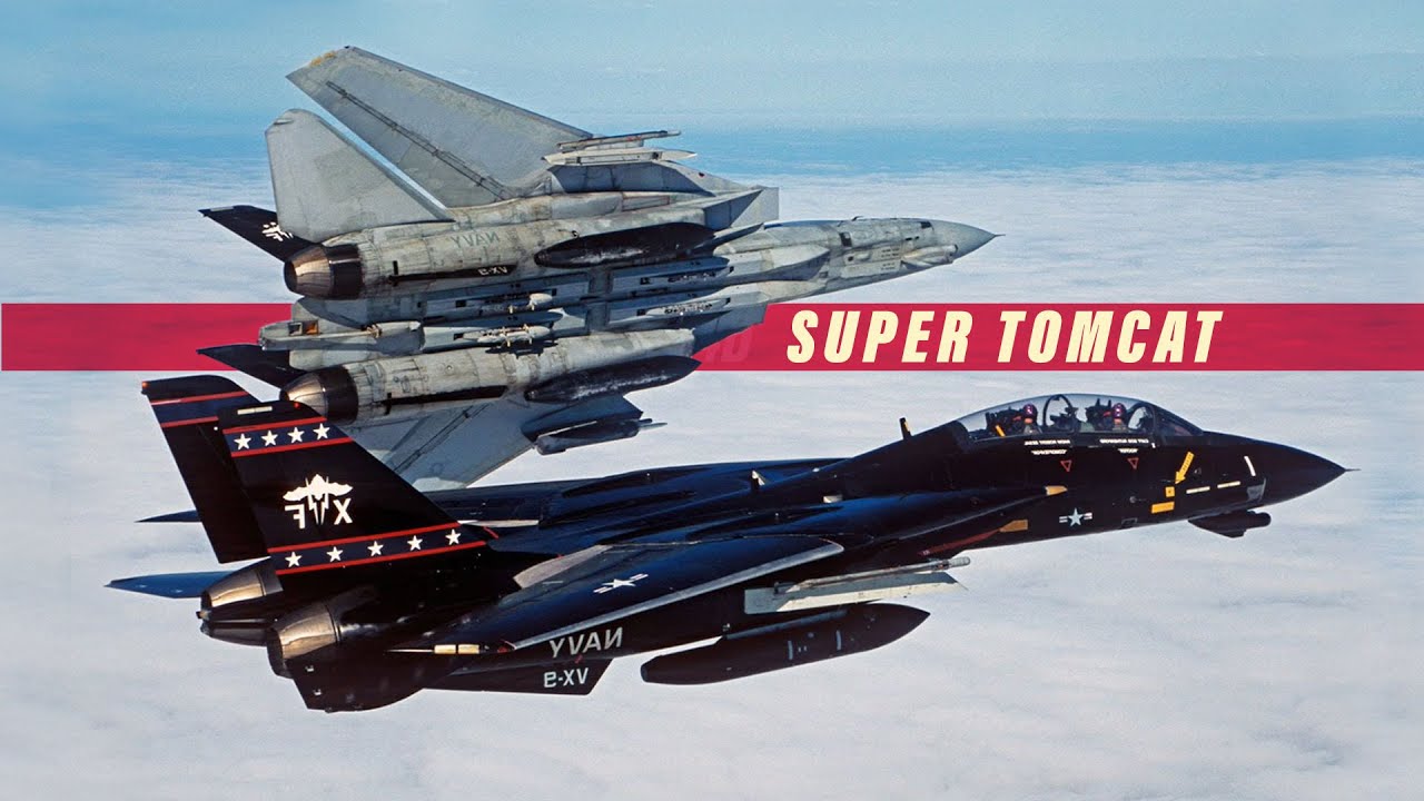 航空機・ヘリコプター DELUXE BIG-1 GUM F-14A TOMCAT DELUXE BIG-1