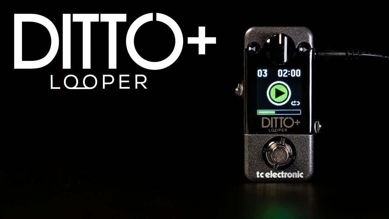 tc electronic DITTO+ ※国内正規品（ティーシーエレクトロニック