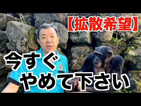 パンくん宮沢さんTV - YouTube