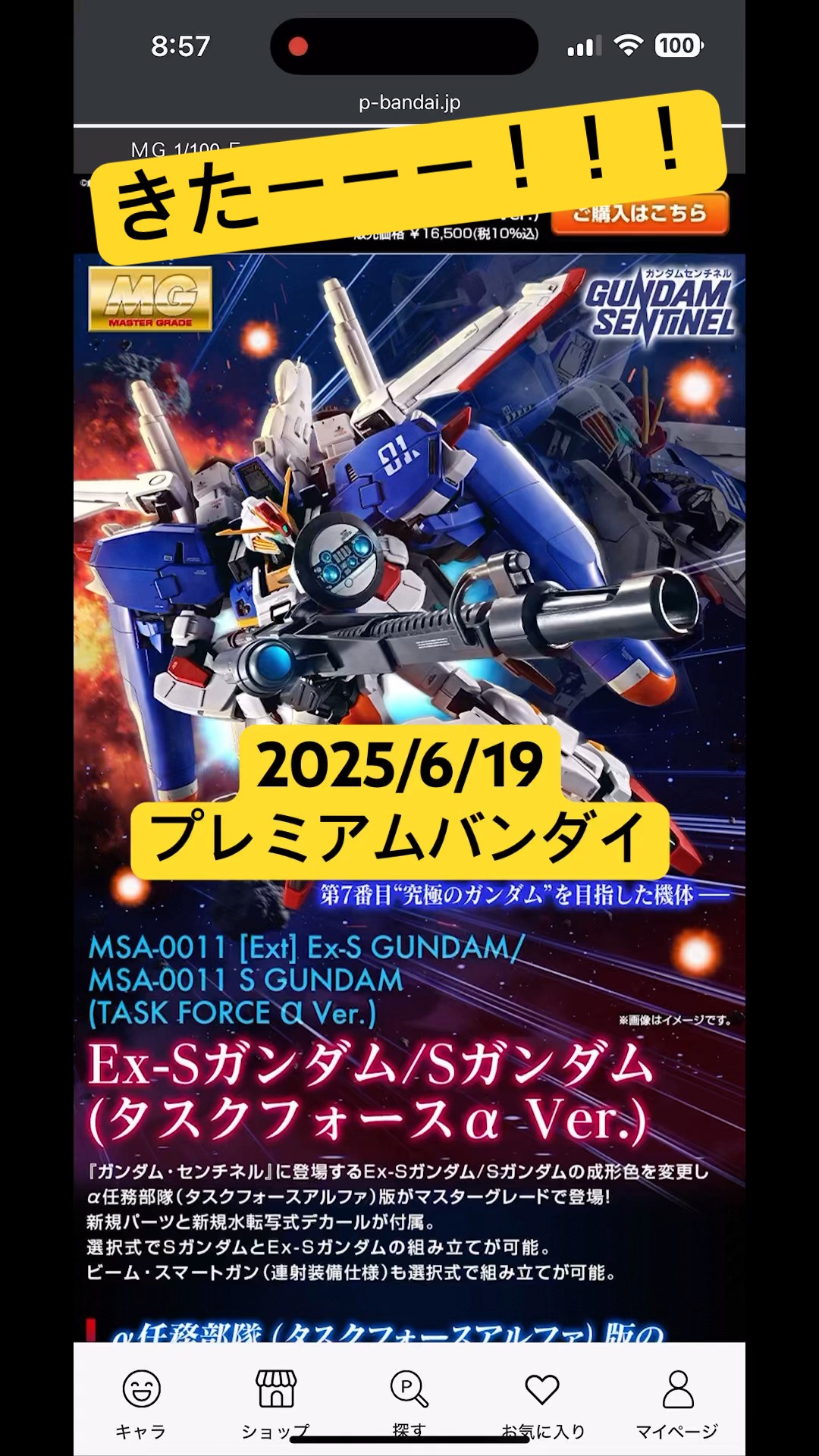 2025/6/19 【ガンプラ】MGのEx-Sガンダム/Sガンダム（タスクフォースα