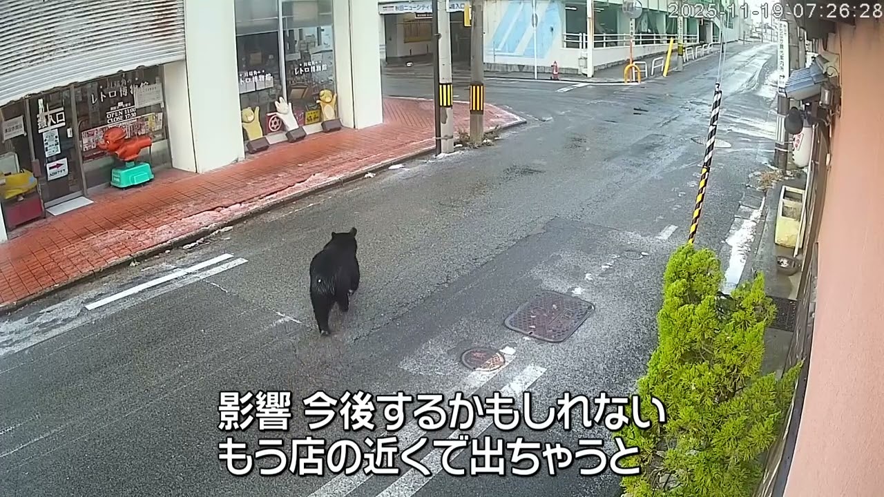 秋田市飲食店街にクマ 周辺高校臨時休校に - YouTube