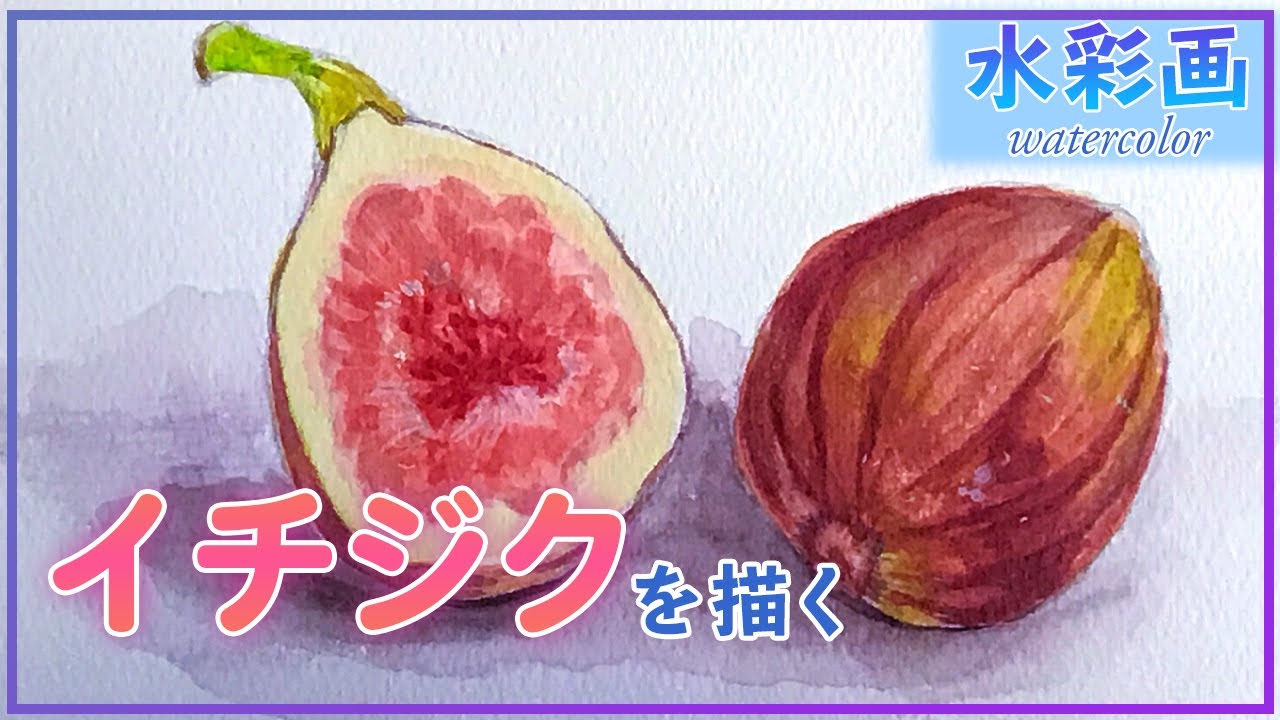 Watercolor Lesson] Fig [Easy-to-understand explanation for