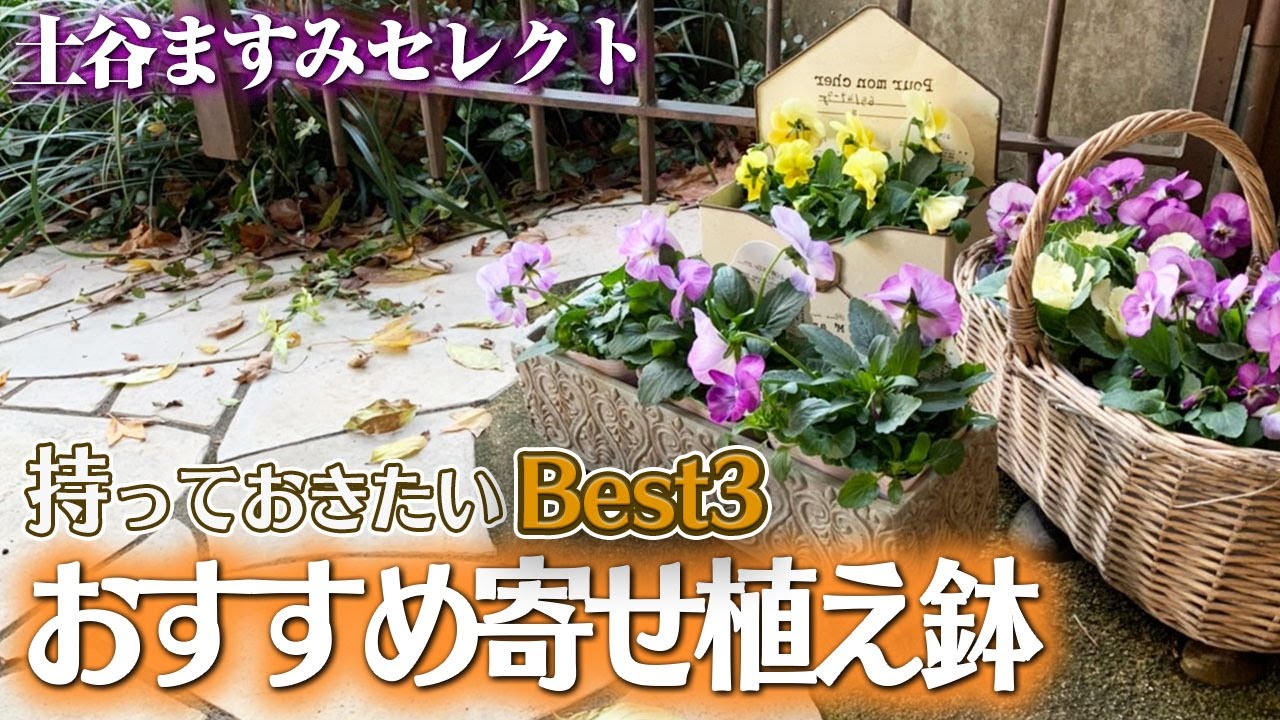 Selected by Masumi Tsuchitani] 3 recommended mixed planting pots