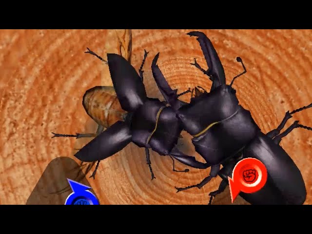 ヒラタクワガタ VS パラワンオオヒラタクワガタ - 甲虫王者 ムシキング