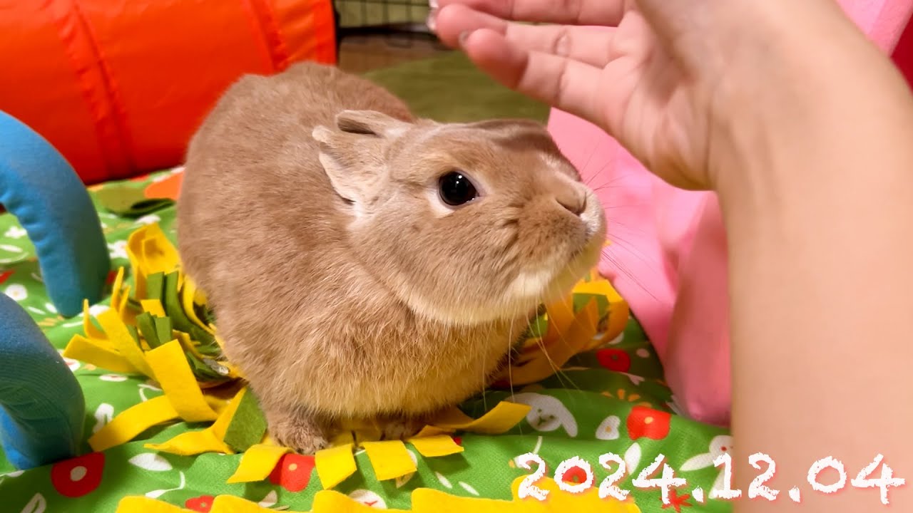maxresdefault.jpg