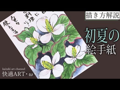 解説】初夏・夏の絵手紙『ドクダミ』5月、6月、7月 簡単リアルな花の