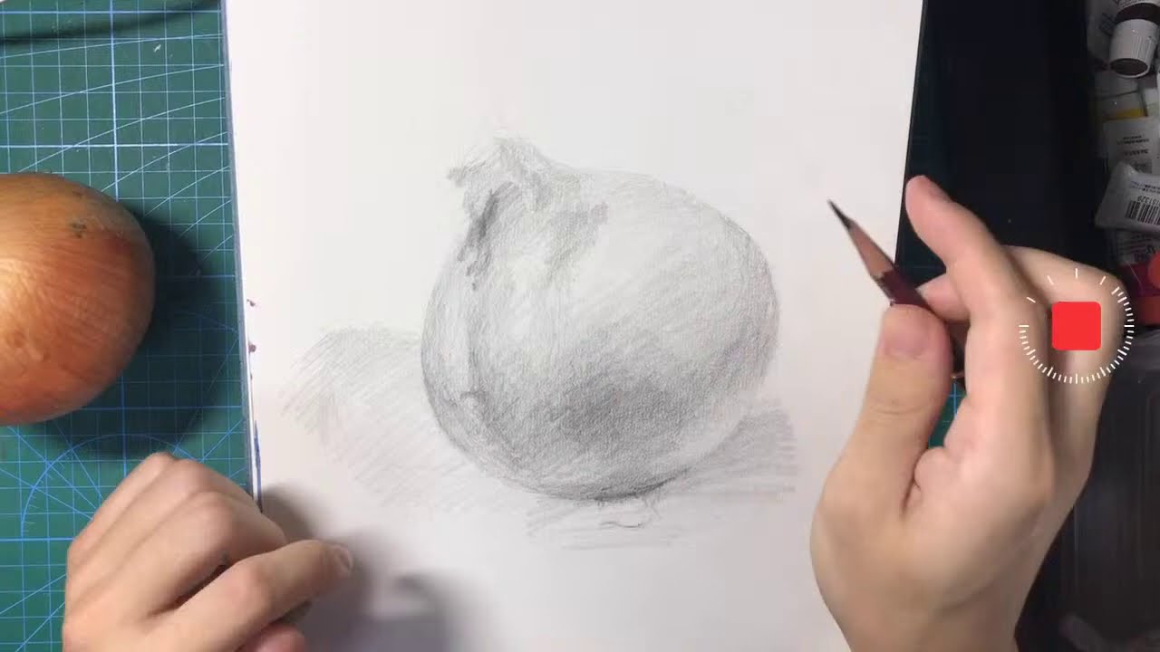 199【生配信】玉ねぎ デッサン 鉛筆画 pencil drawing - YouTube