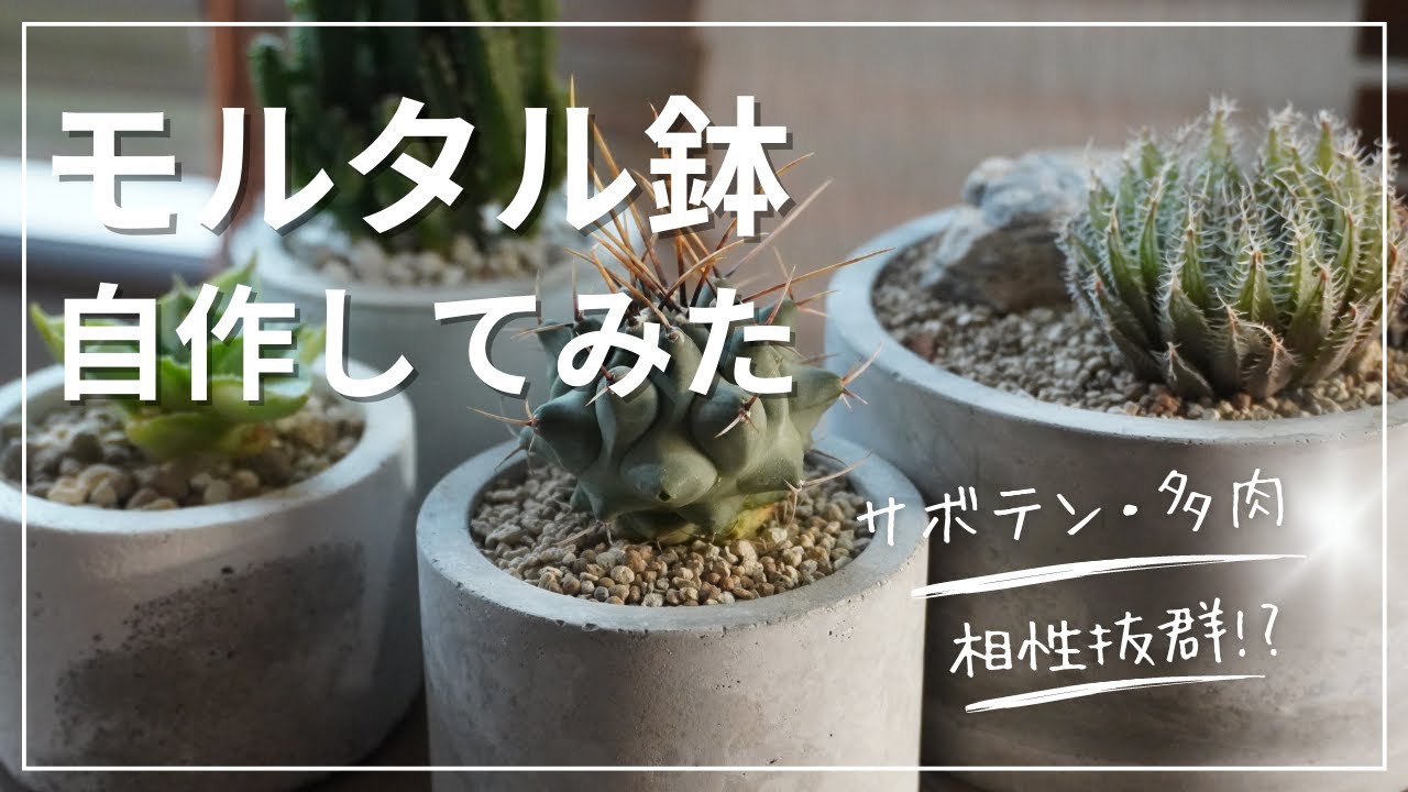 モルタル針diy|多肉・サボテンの植木鉢を100均セメントで自作！ - YouTube