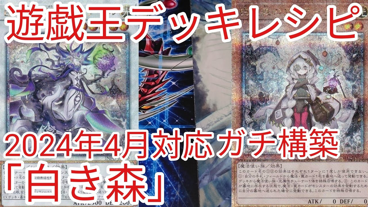 遊戯王 デッキレシピ】2024年4月対応「白き森」ガチ構築 - YouTube