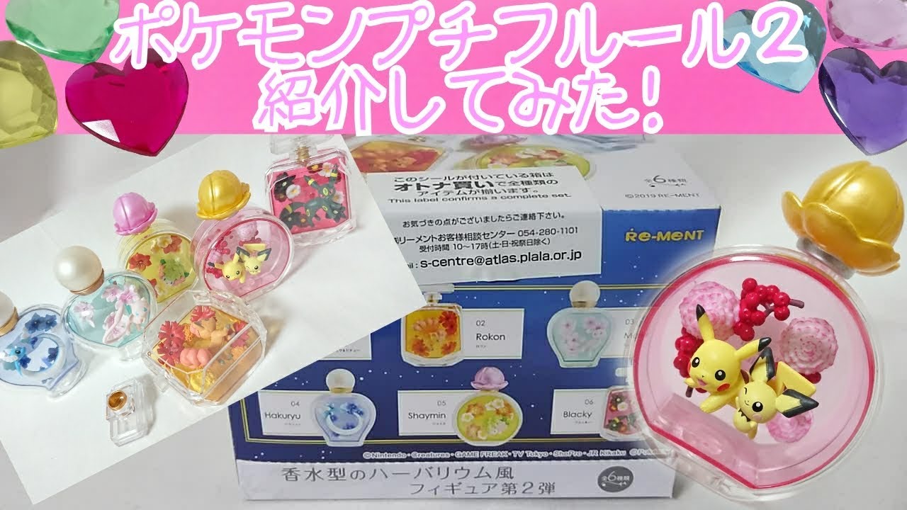 ポケットモンスター PETITE FLEUR deux』の開封動画が公開