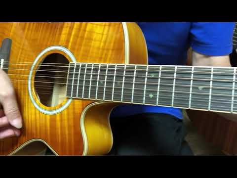 大谷楽器】12弦ギター ARIA FET-DLX/12 Elecord Guitar Demo - YouTube
