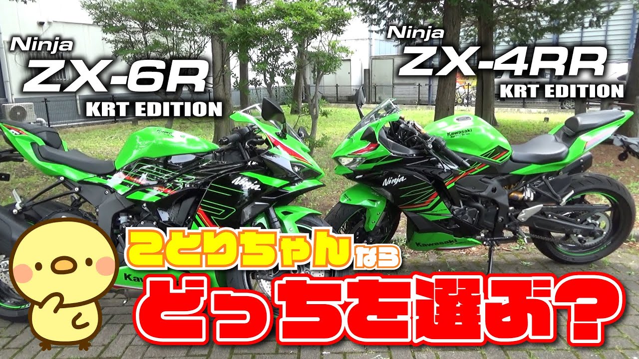 Kotori compares the Ninja ZX-6R and ZX-4RR! If you have a large