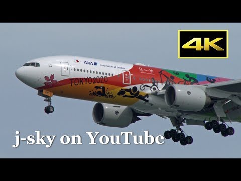4K] Special Livery 