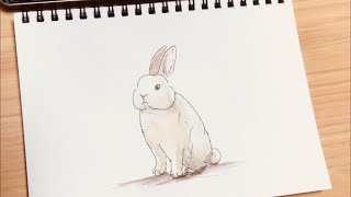 ペンと水彩色鉛筆で描く簡単な動物のうさぎの絵の描き方 - YouTube