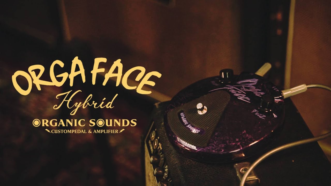 ORGA FACE 