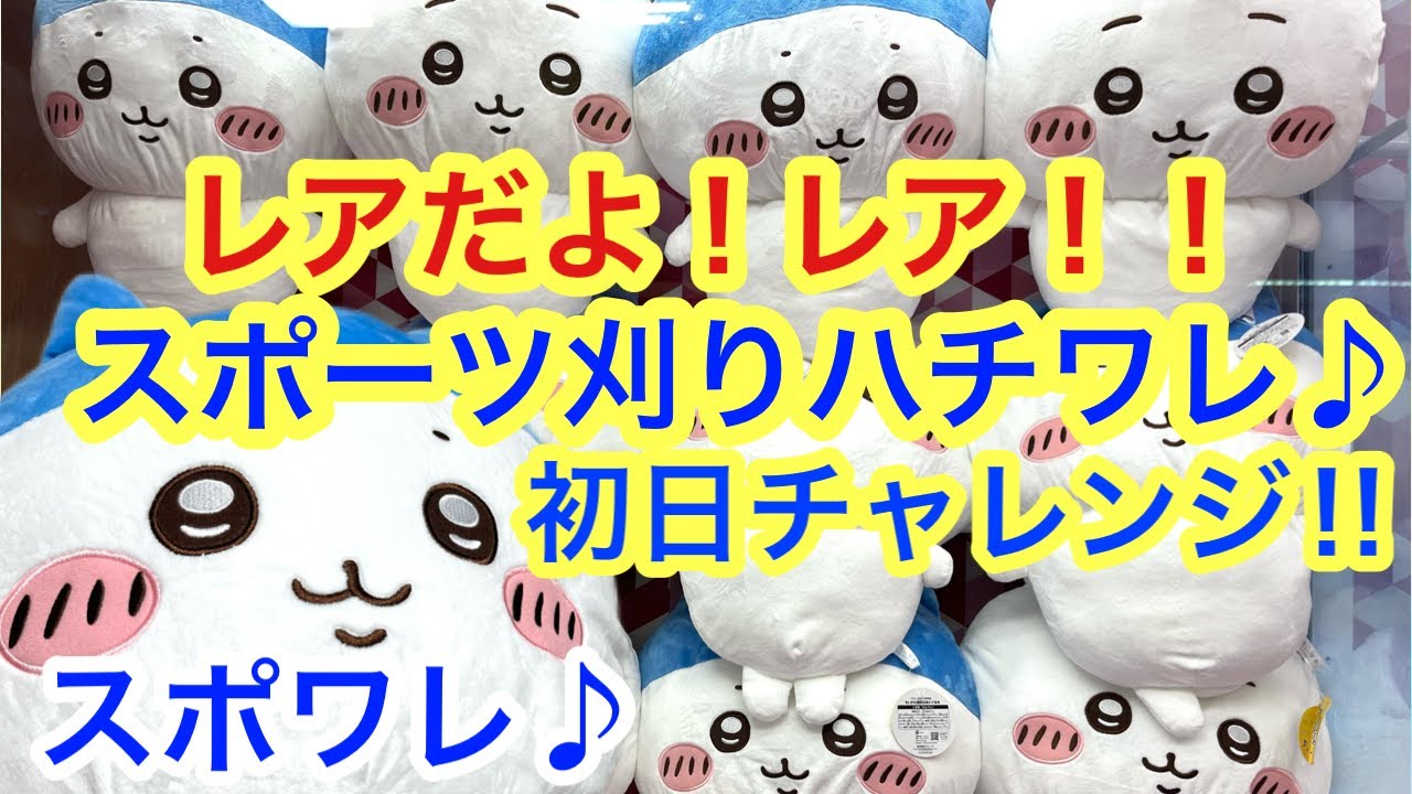 Chiikawa] We got a super big plush toy with a sporty haircut on