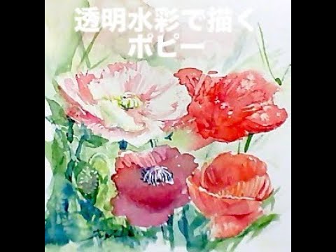 透明水彩で描くポピー - YouTube