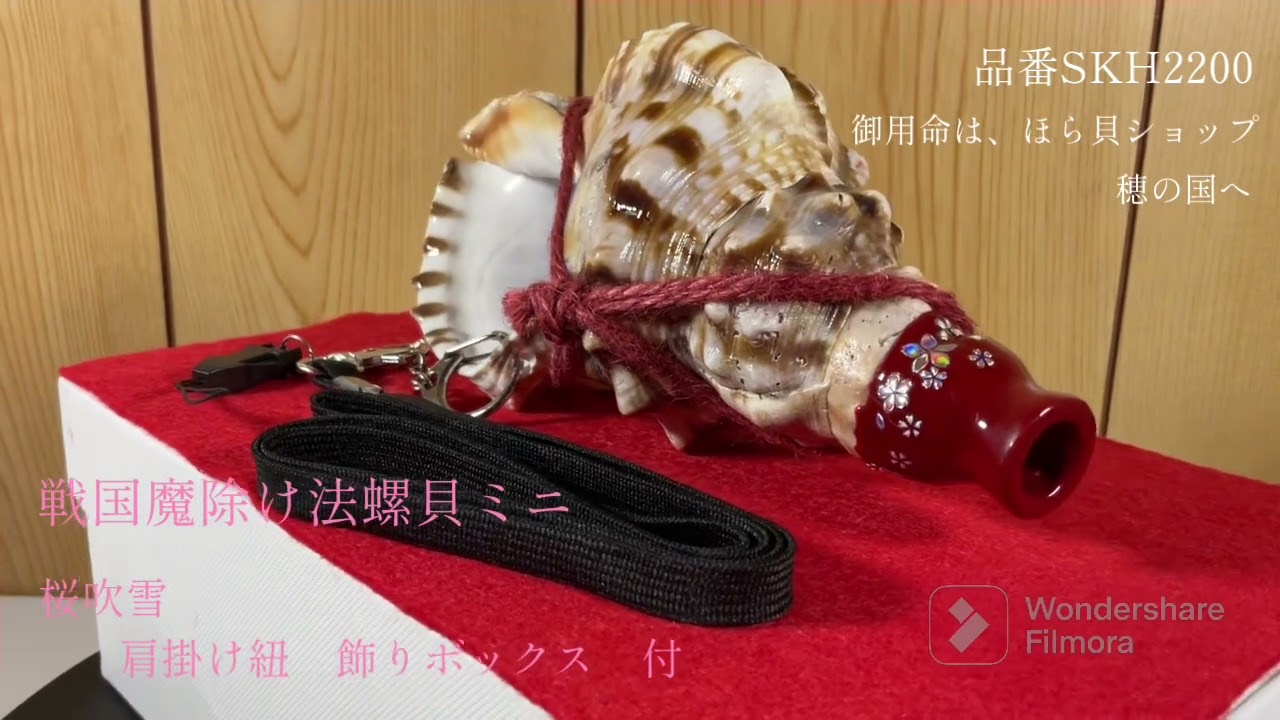 戦国魔除け法螺貝ミニ 桜吹雪 肩掛け紐 飾りボックス 付 ほら貝 ホラ貝