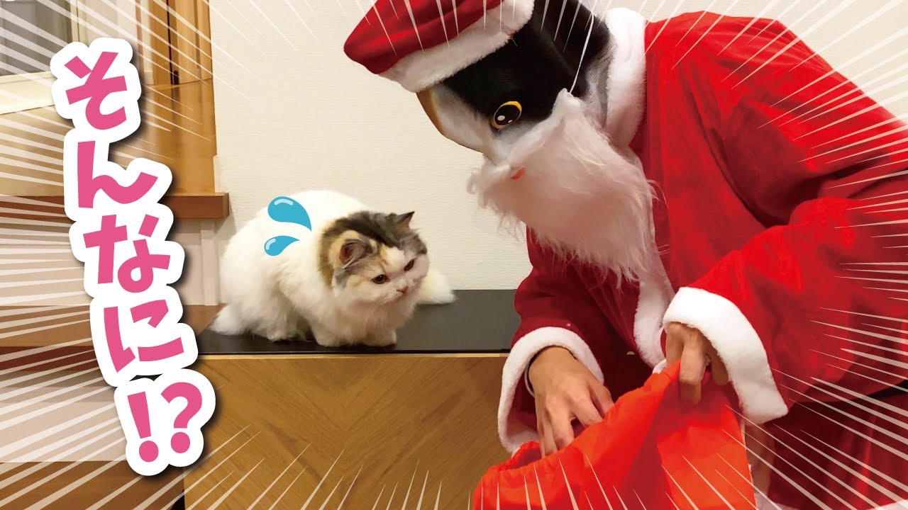 不審すぎるサンタがクリスマスに1兆個のちゅーるを持ってきてくれまし