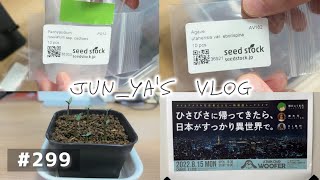 vlog: 299 「パキポディウム・カクチペスとアガベ・ユタエンシス