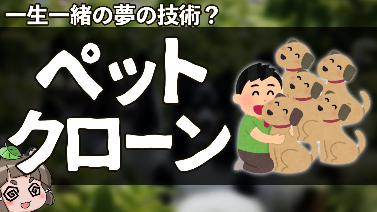 Pros and Cons] Cloning your deceased pet is trending in China? The
